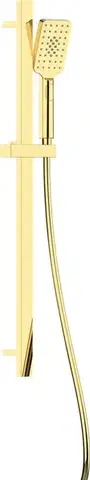 DEANTE Alpinia gold Sprchový set, 3-funkční, s posuvnou tyčí NGA_Z52K