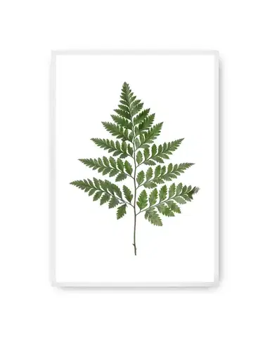 Plakát Fern Green