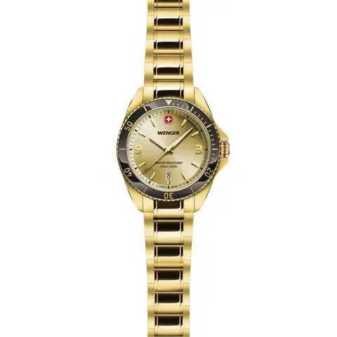 Wenger Executive 01.2031.108