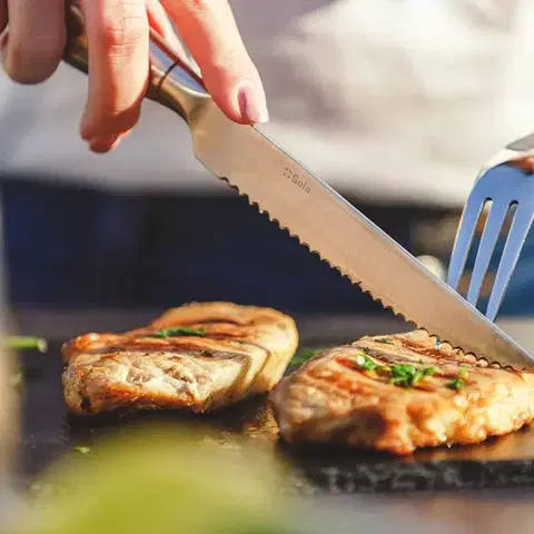 Steakový nůž s dutou rukojetí 23,5cm - matný – Touch me - 118551