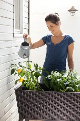 KETER Květináč SIMPLE GROW | hnědá