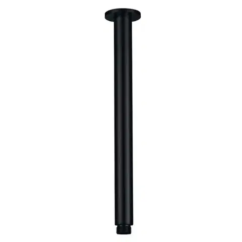 Laveo Rondo Výtok stropní sprchy 284 mm NWX_750O