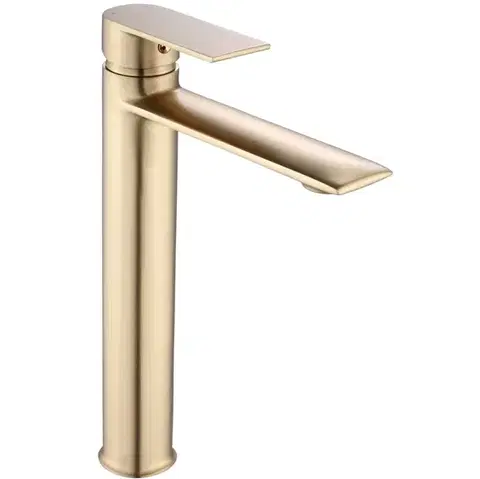 REA Umyvadlová baterie VENETA Brush Gold vysoká REA-B3009