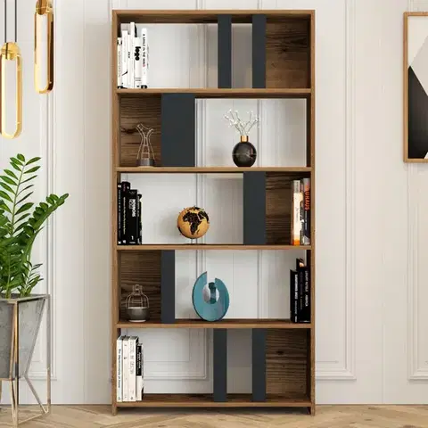 Knihovna Lima - Walnut, Anthracite