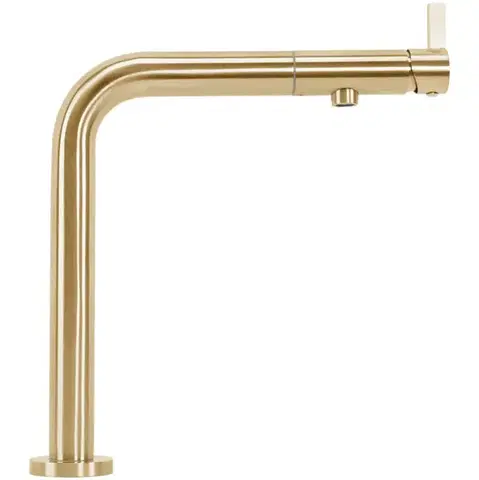 REA Kuchyňská baterie COLE Brush Gold REA-B2720