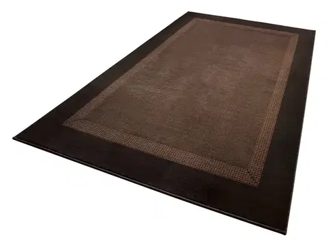 Hanse Home, Kusový koberec Basic 102500, 200x290, hnědá, chodba / předsíň